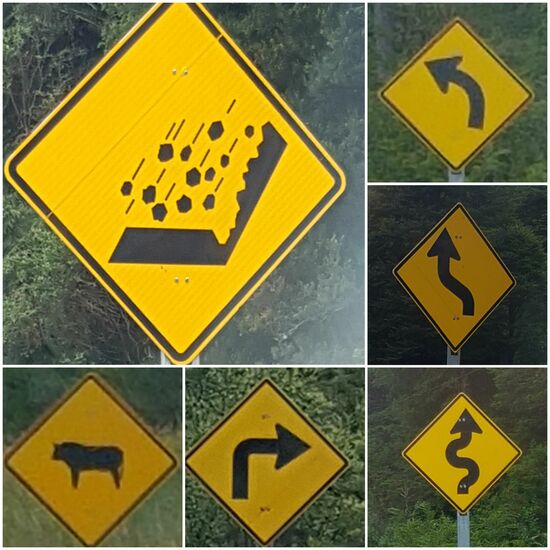 Unser bestoff der Verkehrsschilder von Chile. Es gibt 4 verschiedene Kurven!