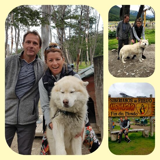 Auf der Husky Ranch mit dem 45 Kilo schweren Anführerhund One