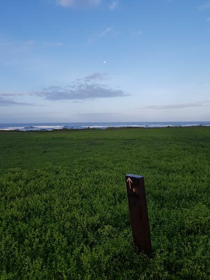 Um 8h ist die Welt nich in Ordnung