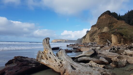 Die Küste von Oregon