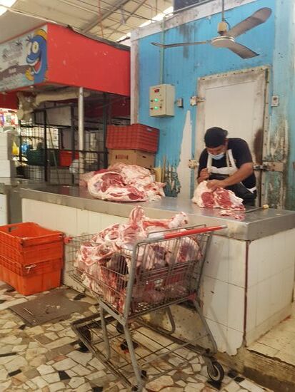 So'n vegetarischer Tag ist ja auch mal ganz gut!