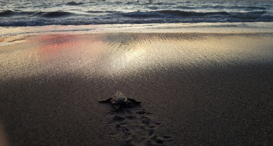 Viel Glück, kleiner Held!
