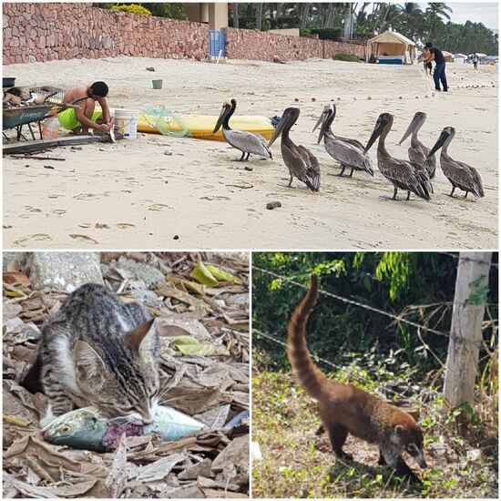 Und weil Tierbilder immer schön sind, gibt's hier noch mehr!