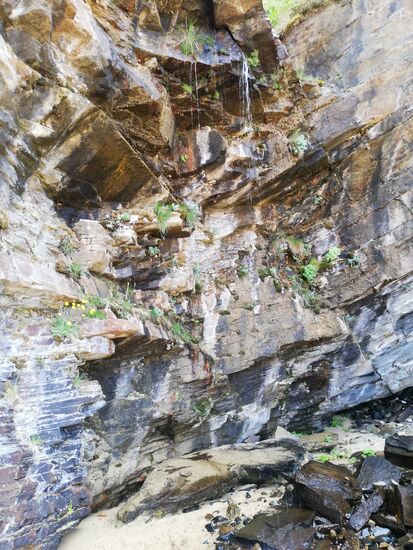 Von den Felsen fällt erfrischendes Sußwasser herunter.