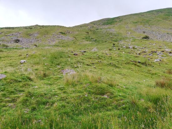 Meim Zeltplatz kurz vor den Gleanteenassig Woods.