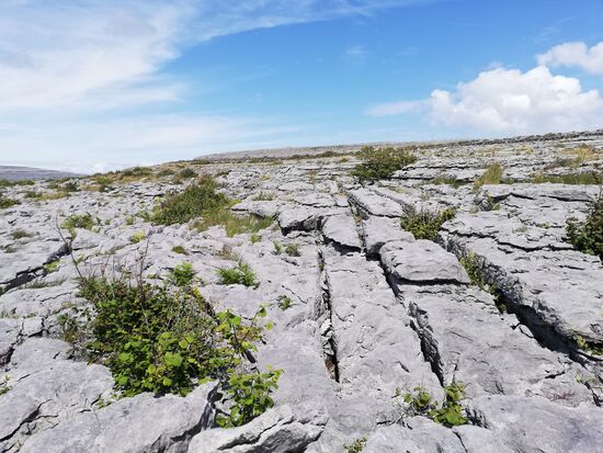 Burren Nationalpark.