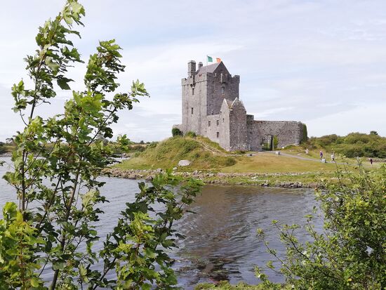 Dunguaire Castle kurz hinter Kinvara.