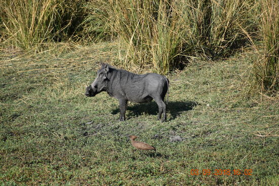 Mosi-oa-Tunya National Park