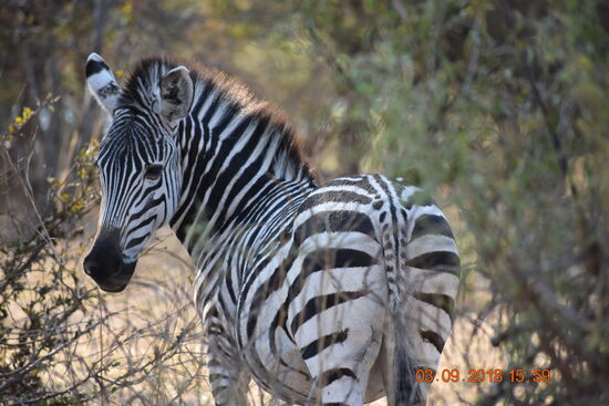 Mosi-oa-Tunya National Park