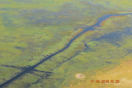 Rundflug über das Okavango Delta