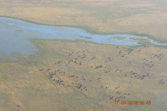 Rundflug über das Okavango Delta