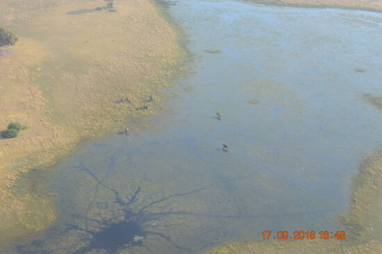 Rundflug über das Okavango Delta