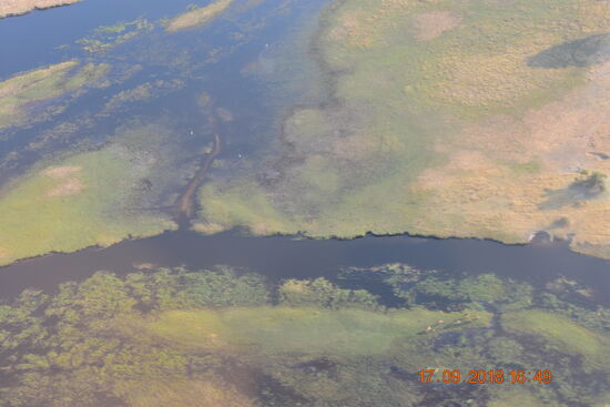 Rundflug über das Okavango Delta