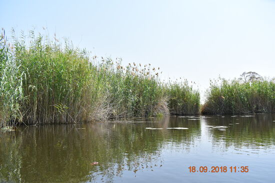 Natur pur