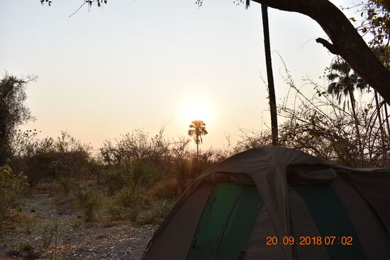 unser Zelt, kurz nach Sonnenaufgang