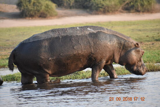 ...ich zeige mich mal in der ganzen Größe