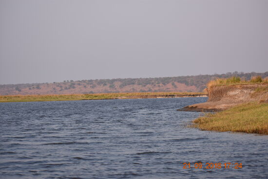 Chobe River