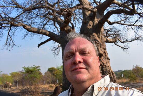 ca. 1000-jähriger gewaltiger Baobab. (im Hintergrund)