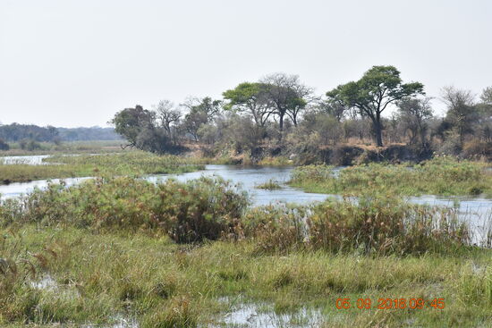 am Kwando-River