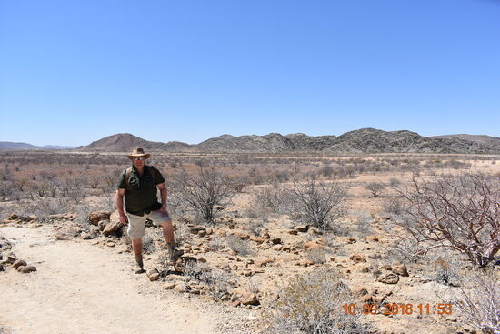 der versteinerte Wald bei Khorixas