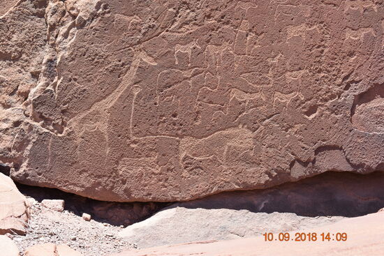 Felsgravuren bei Twyfelfontain