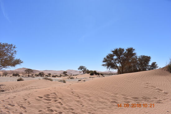 Namib-Naukluft-Park