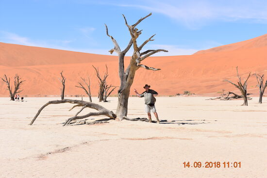 im Deadvlei