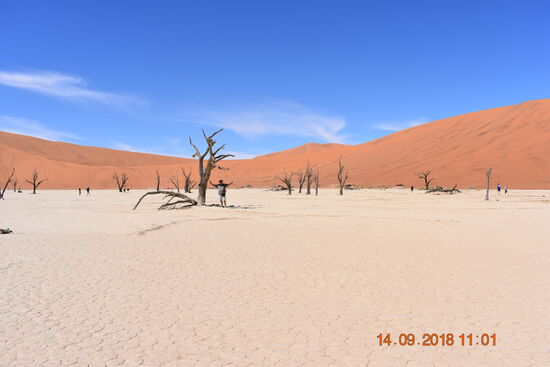 im Deadvlei