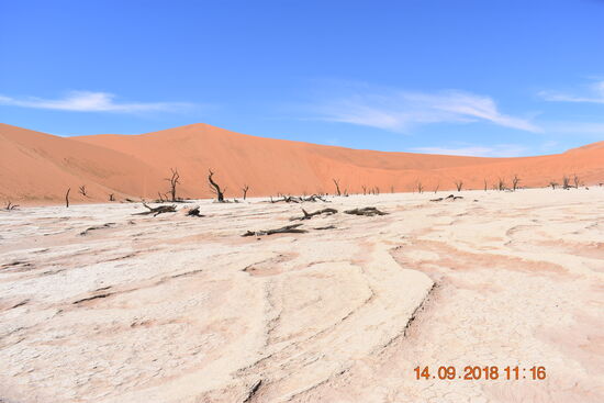 im Deadvlei