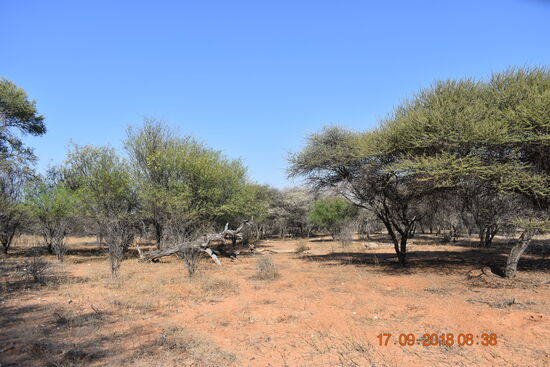 Bushwalk mit San Bushman