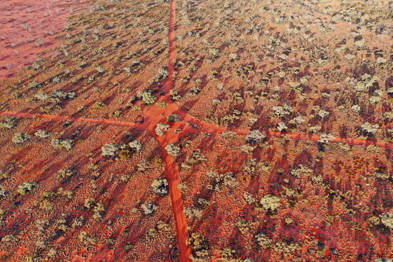 Wir kommen bei der Neale Junction an.
Hier treffen sich der Anne Beadell (Ost/West) und der Connie Sue Hwy (Nord/Süd)