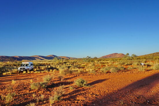 Die Fliegen werden hier auch schon wieder zur Plage!