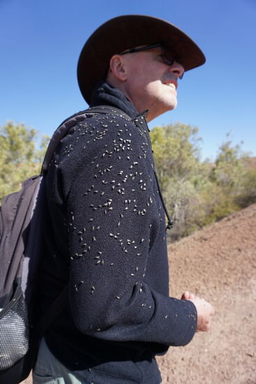Kämpfen uns dann durch die massive Fliegen-Invasion zum Auto zurück.
Nebenbei erwähnt: für unsere Reise haben wir entschieden, lieber die kalte Jahreszeit bzw. den Süden wie 2016 zu nehmen, um damit wieder die Fliegen zu vermeiden, die uns 2013 so genervt hatten.
Jetzt haben wir aber Fliegen und Kälte. Diesbezüglich ist unsere sonst bis jetzt in allen Belangen nahezu perfekt verlaufende Reise also misslungen! Und am Connie Sue hätte Robert gerne Sonne gehabt.