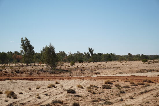 Wir queren den Fluss Finke.