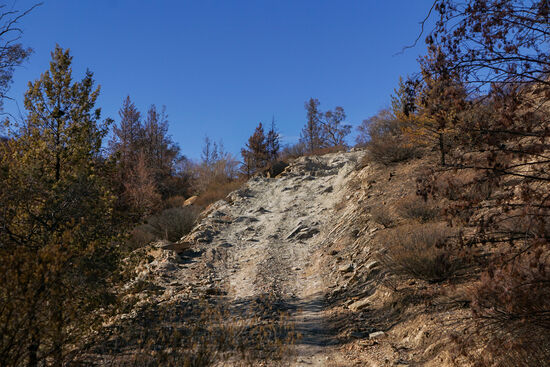 Hier von unten aufgenommen.