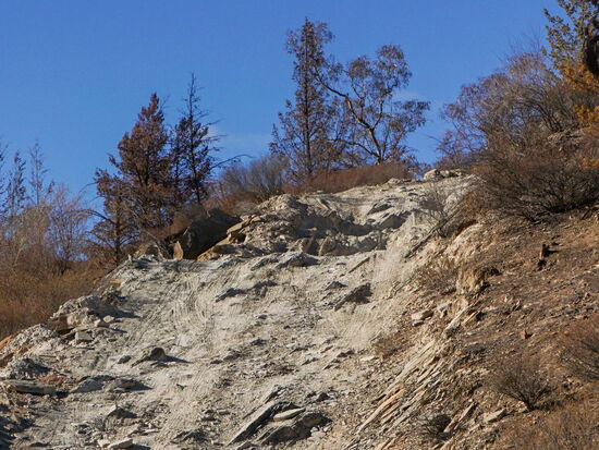 Leider geben die Fotos die Steilheit nicht realitätsgetreu wieder!