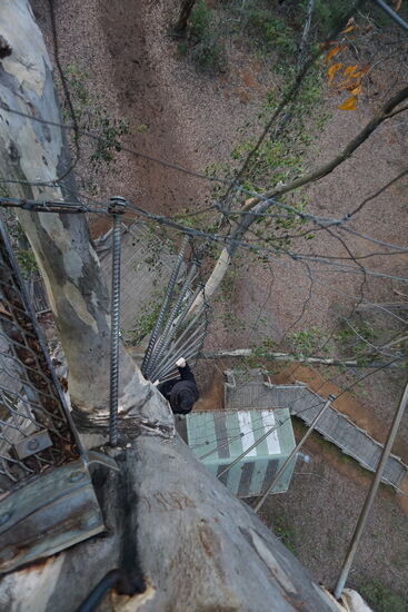 Robert kommt jetzt auch rauf.