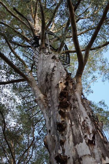 Ingrid ist mittlerweile auf der Zwischenplattform angekommen.