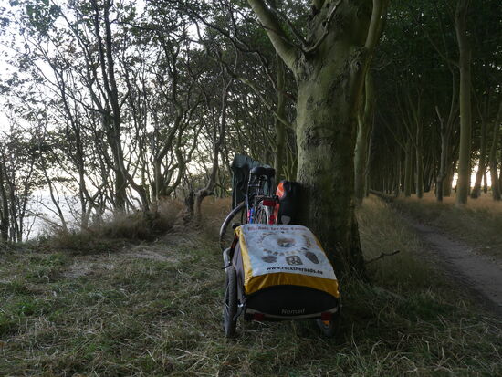 Kurz vor meinem Aufbruch. Meine Behausung stand eben noch unmittelbar neben dem Trail, direkt an der Steilküste. Übrigens habe ich als Unterlage wieder langes Gras verwendet. So liegt es sich auf dem harten Waldboden etwas besser...