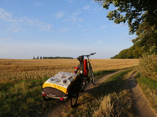 ...doch irgendwann muss es weiter gehen. Wie hier über den Feldweg in Richtung Nonnewitz/Rügen