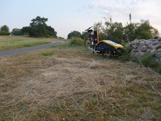 Wie man sich bettet so liegt man. Gestern Abend habe ich mein Schlafgemach vorsorglich mit abgemähtem Gras ausstaffiert...