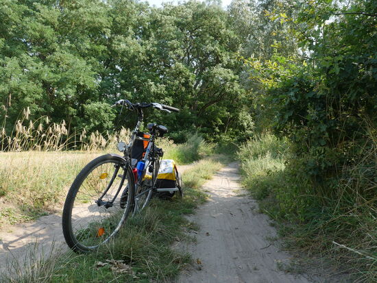 Hier geht es nur noch mit schieben vorwärts, also drehe ich bei und suche mir einen anderen Weg.