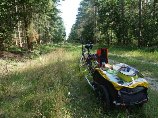 ...und brauchte erstmal ein kräftiges Frühstück im Wald!.