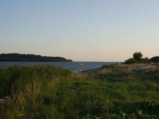 Kurz vor Seedorf/Rügen