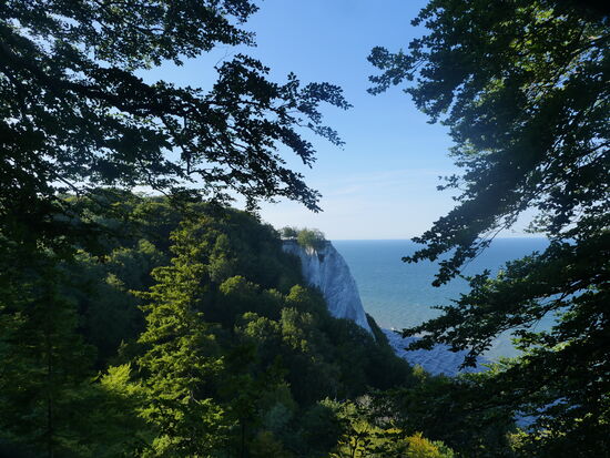 Königsstuhl -Jasmund Nationalpark