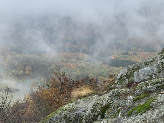 Nebelschwaden im Tal