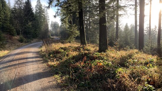 Fichtelgebirge im Dezember