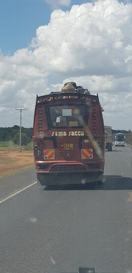 Na, wer findet das Huhn?