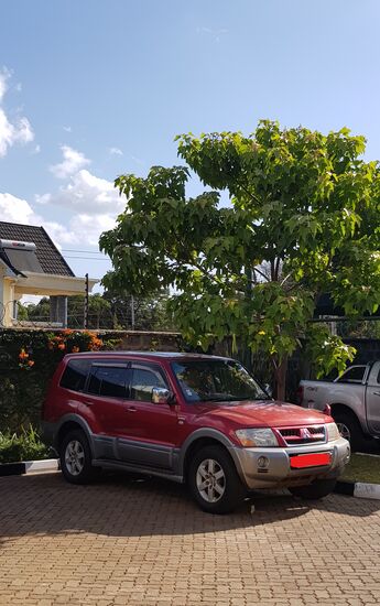 Mein kleiner Wi**ser (PAJERO) - Kein Cabrio mehr, aber Allrad und 252 PS...