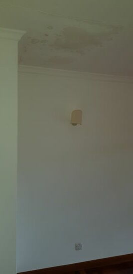 Ein weitere Errungenschaft meiner Youtube Handwerker: Der Wassertank auf dem Dach ist leider auch "irgendwie" nicht mehr ganz dicht und hat die ganze Decke geflutet. Aber die kenianische Lösung ist ja ganz einfach: Ma'm, I have colour, no problem,I will paint.
Ich: "Paint will not solve this. You see that the ceiling is hanging which menas that  the whole ceiling is soaken with water."
ER: "No" 
ICH: "Ok, just go ahead watching youtube tutorials and fix it."